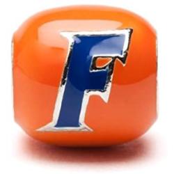 University of Florida Bead | Stainless Steel Jewelry | UF Charms | University Gifts | Fits Pandora & Others