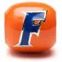 University of Florida Bead | Stainless Steel Jewelry | UF Charms | University Gifts | Fits Pandora & Others