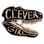 Charmart Clever Girl Enamel Pins 2 Piece Set Dinosaur Brooch Denim Coat Bags Backpacks Jackets Shirt Lapel Badges Animal Pins Gifts