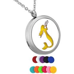 HooAMI Essential Oil Diffuser Necklace Aromatherapy Pendant Stainless Steel Locket Jewelry for Women, Men, Boy, Girl