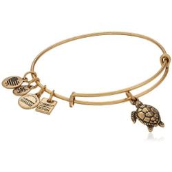 Alex and Ani Charity By Design Turtle Rafaelian Bangle Bracelet