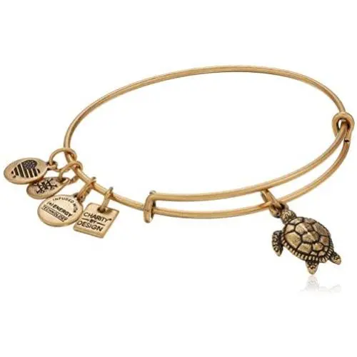Alex and Ani Charity By Design Turtle Rafaelian Bangle Bracelet Alex and Ani Charity By Design Turtle Rafaelian Bangle Bracelet