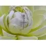 Dazzlingrock Collection Round White Diamond Ladies Cross Religious Pendant (Silver Chain Included), 10K Gold