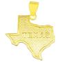 AMZ Jewelry 10K Yellow Gold Texas State Map Pendant