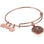 Alex and Ani Womens Evil Eye Rose Gold Charm Bangle Bracelet, Expandable