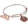 Alex and Ani Womens Evil Eye Rose Gold Charm Bangle Bracelet, Expandable Alex and Ani Womens Evil Eye Rose Gold Charm Bangle Bracelet, Expandable