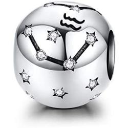 LAMOONY Constellation Charm 925 Sterling Silver Birthday Charm Anniversary Charm Love Charm Faith Charm for Pandora Charm Bracelet