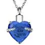 PREKIAR Heart Cremation Urn Necklace for Ashes Urn Jewelry Memorial Pendant with Fill Kit and Gift Box - Always on My Mind Forever in My Heart (Bluevoilet)