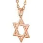 In Season Jewelry Religious Jewish Star of David Pendant Necklace for Ladies 19'' In Season Jewelry Religious Jewish Star of David Pendant Necklace for Ladies 19''