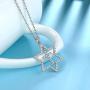 Elegant Amulet Necklace Gift for Women Girl Sterling Silver Teen Boy Crystal Triangle/Ankh Cross/Celtic Turtle/Iced Out Magen Star of David Pendant Necklace Minimalist Everyday Jewellery