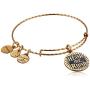 Alex and Ani Game of Thrones, Hear Me Roar Charm Bangle