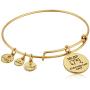 Alex and Ani MLB San Francisco Giants Charm Bangle