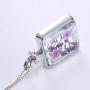 YAZILIND Platinum Plated DIY Dried Flower Square Lockets Pendant Necklace Birthday Gift