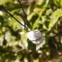 Raw Moonstone Crystal Pendant Necklace –For New Beginnings Happiness Good Luck Hope Abundance Fertility - Authentic Wrapped Stone on Adjustable Length Cord Real Gemstone Chakra Zodiac Healing Charm