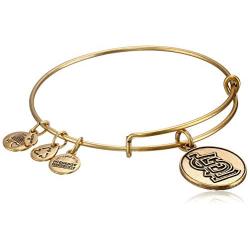 Alex and Ani St. Louis Cardinals Cap Logo Expandable Bangle Bracelet