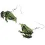 DUOWEI Cute Sitting Frog Earrings Acrylic Drop Dangle Jewelry for Women Teen Girls Kids Aesthetic Gifts DUOWEI Cute Sitting Frog Earrings Acrylic Drop Dangle Jewelry for Women Teen Girls Kids Aesthetic Gifts