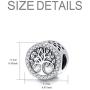 925 Sterling Silver Personalized Photo Charm Fit Pandora Bracelet Necklace Customized Image Picture Bead for Women