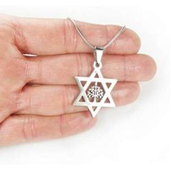 Star of David and Tree of Life Necklace, 18'' chain, Pure 304 Stainless Non Tarnishing, Shield of David, Magen David with Etz Chaim