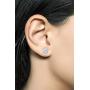 La Joya 1/4-1 Carat Total Weight (cttw) Certified Lab Grown Diamond Stud Earrings for Women And Men - Set In 4 Prong Solid 14k Yellow Or White Gold GH Color SI Clarity Men and Womens Diamond Earrings