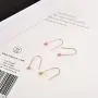 Korean Song Hye Kyo earrings earrings wild female models 18K rose gold-plated steel ear ear hook ear jewelry