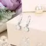 EVER FAITH 925 Sterling Silver Ear Jewelry Single 6MM Round White Opal Simple Leverback Dangle Earrings for Women EVER FAITH 925 Sterling Silver Ear Jewelry Single 6MM Round White Opal Simple Leverback Dangle Earrings for Women