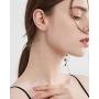 Besteel 12 Pairs 18g Stainless Steel Cubic Zirconia Stud Earrings for Women Men Tiny Cartilage Ear Piercings Helix Set Flat Screw Backs 2MM-6MM