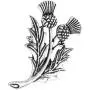LBSBO Outlander Inspired Jewelry Double Scottish Thistle Brooch Pin Sassenach Scottish Outlander Gift Scottish Brooch LBSBO Outlander Inspired Jewelry Double Scottish Thistle Brooch Pin Sassenach Scottish Outlander Gift Scottish Brooch