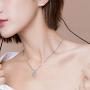 Arain 18K White Gold Plated Cubic Zirconia Necklace for Women-2 Carat CZ Solitaire Pendant Necklace
