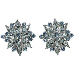 Faship Gorgeous Crystal Rhinestone Floral Clip On Earrings