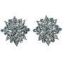 Faship Gorgeous Crystal Rhinestone Floral Clip On Earrings