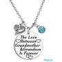TISDA Grandma Gifts from Grandson,The Love Between Grandmother and Grandson is Forever Necklace Birthstone Family Jewelry