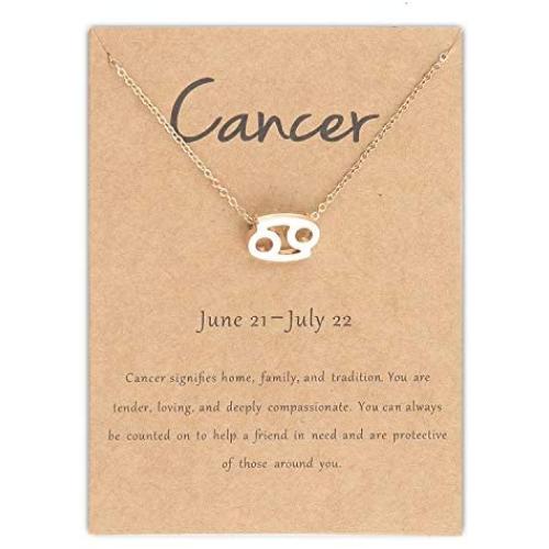 12 Constellation Necklace for Women Zodiac Necklace for Teen Girls Boys Astrology Gold Tone Chain with Gold Message Card for Women Girls Birthday Gift