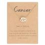 12 Constellation Necklace for Women Zodiac Necklace for Teen Girls Boys Astrology Gold Tone Chain with Gold Message Card for Women Girls Birthday Gift