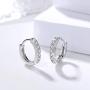 Zittop 1pair Sterling Silver S925 Earrings Inlaid Dangle Earrings Female