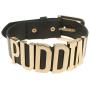 Coolcoco Adjustable Fashion High Neck Black Belt Letter Gold Puddin Choker Necklace Collar for Women Girls Adult Kids Prime (About 1.2 Inch Width)