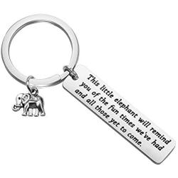 CYTING Memory Elephant Keychain Elephant Jewelry Strength Gift for Elephant Lovers This Little Elephant Will Remind You of The Fun Times Weve Had and All Those Yet to Come