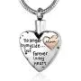 Urn Necklace for Ashes Mom Stainless Steel Heart Cremation Jewelry for Ashes Silver Ashes Necklace Pendant