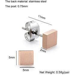 TGNEL Hypoallergenic Titanium EARRING
