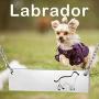ENSIANTH Labrador Necklace Labrador Charm Necklace Labrador Gift for Dog Lovers