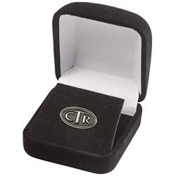 Cherished Moments LDS Tie Tack (Silver Tone)