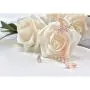 Elensan Rose Gold Leaf with Cz Crystal Ear Cuff Jacket Front Back Stud Earring for Woman Girls