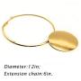 Fstrend Statement Choker Earrings Set Gold Plated Bride Necklace Round Pendant Nigerian Costume Party Jewelry Accessories for Women and Girls