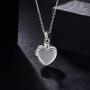 YWN 925 Sterling Silver Hold Photo and Ashes Locket Cremation Necklace Memorial Ash Pendant Urn Locket Jewelry for Women Remembrance Keepsake Gift for Loss of Loved Furry Friend