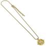 HARRY POTTER Official Licensed Themed Necklaces (Fixed Time Turner)