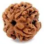 55Carat Choose Your Natural Certified Nepali Rudraksha 1 to 13 Mukhi Ganesh Gauri Shankar Simple Pendant with Red Thread Shiva Astrology Jewelry for Men Women