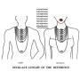 Mixiueuro 2mm Leather Chain Necklace Black Waterproof Braided Wax Rope Chain With Upgrade Ultra Thin Light New Models Titanium steel Clasp, for Men Women children