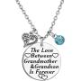 TISDA Grandma Gifts from Grandson,The Love Between Grandmother and Grandson is Forever Necklace Birthstone Family Jewelry