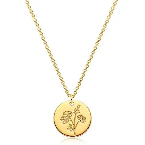 OSIANA Birth Month Flower Necklace for Women 18K Plated Gold Dainty Disk Disc Coin Pendant Minimalist Floral Necklace Classic Birth Flower Necklace Delicate Personalized Gift for Her OSIANA Birth Month Flower Necklace for Women 18K Plated Gold Dainty Disk Disc Coin Pendant Minimalist Floral Necklace Classic Birth Flower Necklace Delicate Personalized Gift for Her