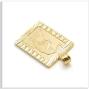 Xusamss Punk Jewelry Plated 18K Gold Tiger Dog Tag Pendant Necklace,22inches Box Chain