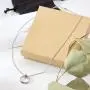 Apology Gift Necklace For Her: Gift to Say Youre Sorry Best Friend, Girlfriend, Jewelry, 2 Linked Circles (silver-plated-brass, NA)